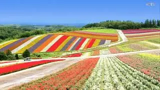 Fields of Praise (Instrumental piece)