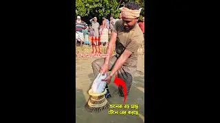 😱 Hundreds Watching! Fisherman Pulls Out a GIANT Fish from Bamboo Trap 🎣🔥 Saima Fishing