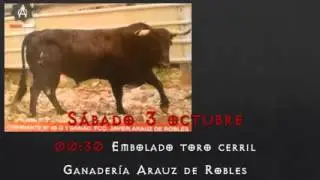 Escapadito 2015