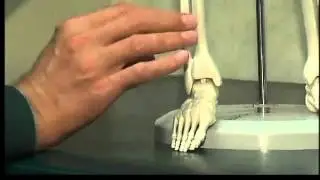 Rotation Plasty