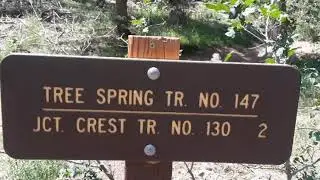 Tree Springs Trail.