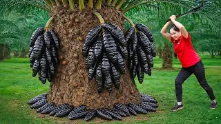 Harvesting 10,000 Forest Leeches & Go to Market Sell | 99+ Record Breaking Harvests | off the grid