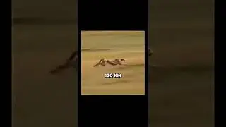 😈😱🤠