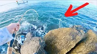 Throwing LIVE! Bait For HUGE Jetty Fish! **Catch&Cook**