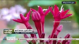 ഇന്ന് ലോക പുഷ്പദിനം | International Flower Day
