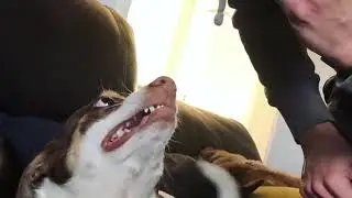 Be Quiet Mr.Bubz