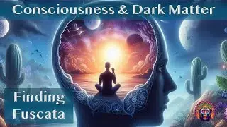 Is Consciousness the Key to Dark Matter?