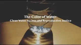 The Color of Water: Clean Water Access & Reproductive Justice Webinar