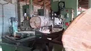 Taglio dei tronchi in tavole [segato di quarto]