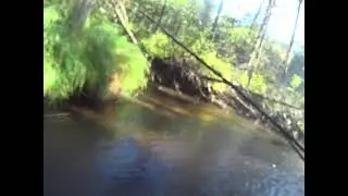 река Им