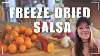 Easy & DELICIOUS freeze dried salsa - Blue Alpine Freeze Dryer