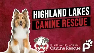 SECOND Chance at Life | Highland Lakes Canine Rescue | Pawareness Podcast No. 74