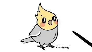 How to Draw a Cockatiel I Easy Drawing Step by Step