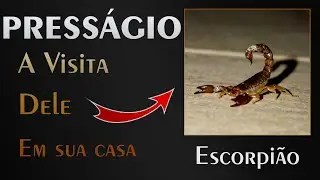 🏡 Press&aacute;gio do Escorpi&atilde;o - Qual o Alerta que ele veio nos passar?