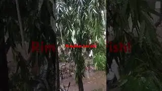 #dilli #rain #baarish