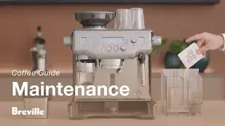 The Oracle® | A step-by-step guide on how to descale your espresso machine | Breville USA
