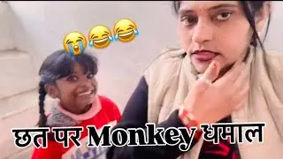 Monkey Ne Chhat Par Kiye Hungama 😂😳 | Must Watch @beautyjhumkacity 