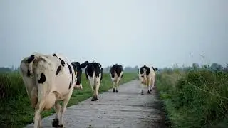 De verhalen achter de cijfers: Rosa Vendel over luisteren in de landbouw 🚜💰💬