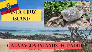 Charles Darwin Research Station in Gal&aacute;pagos Islands 🇪🇨 Ecuador