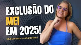 Fui exclu&iacute;do do MEI o que&nbsp;fazer
