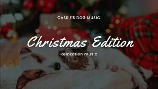 Merry Christmas Relaxing Music for Dogs 🎅🏻 Calming Christmas Music for Dogs in the Holiday Season 🎅🏻