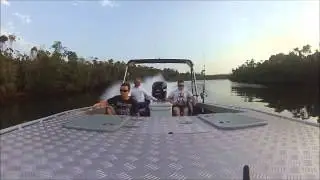 CHAOS CAT SUNSET RUN UP HULL RIVER