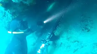 unboxing y comprobación de la Linterna LED Orcatorch D710 Dive Light
