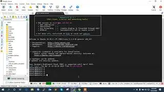 I Will Do LEMP Stack Setup Linux
