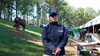 3 Day Event Rider Lellie Ward on Steadfast and Assure by Arenus