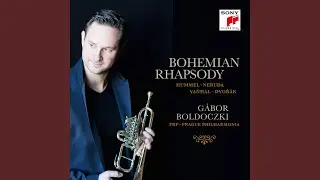 Trumpet Concerto in E-Flat Major: II. Largo