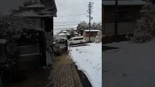 JAPOW（JAPAN SNOW）