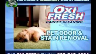 Oxi Fresh - The World's Greenest Carpet Cleaner!