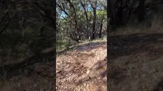 #possumkingdomlake #texashiking #hikeandbiketrails #texas #hikingadventures