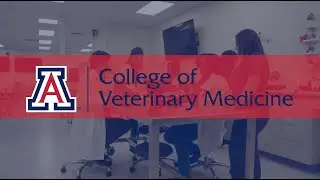 Preparing a New Generation of Veterinarians: A Student's Perspective