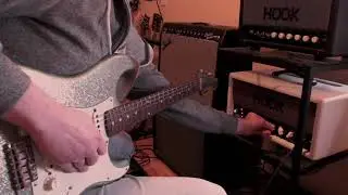 Hook Wizard Amp & Haar S-model