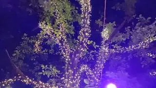 JCI Hasselt - Videoverslag Jardin Mystique 2019