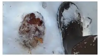 12 Mile - Opening Weekend - November 2022