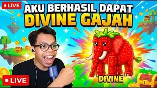 AKU PUNYA DIVINE KAMU ADA GAK?? - Roblox Tsunami Braintrots