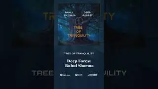 Thank you | Deep Forest