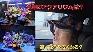 今年のアクアリウムはどうなる？流行りや価格を予想