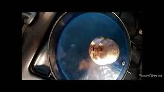 te de ra&iacute;z de tejocote (ayuda en problemas estomacales, colitis,bajar de peso,etc..)
