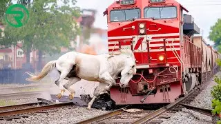 Most Dangerous Roads And Animal Train Crashes You Won&rsquo;t Believe Were Real - Part 3