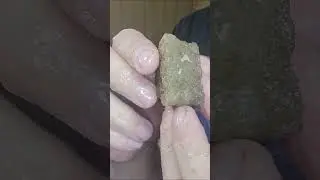 Eden Valley Petrified Wood Limb Cut: Quartz Filled Interior Reveal