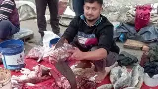 Satisfying Fish Cutting Video | Clean & Perfect Cuts 