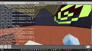 Minecraft smp instead