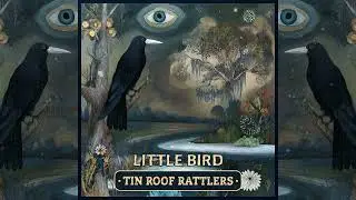 Tin Roof Rattlers - Little Bird (Official Audio)