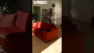 rent apartment Sitia Crete kitchen living room wc