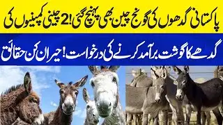 Pakistani Donkeys in Demand! China Wants Donkey Meat Export! Neo Plus