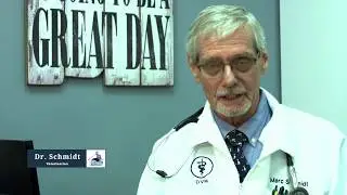Keeping Your Pet Calm During an Appointment.