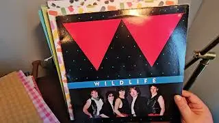 *Mod Maid's Mighty Maple Music presents record collecting haul in Ontario